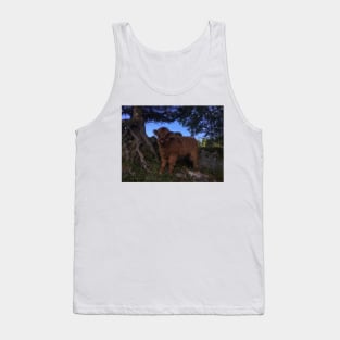 Scottish Highland Cattle Calf 1812 Tank Top